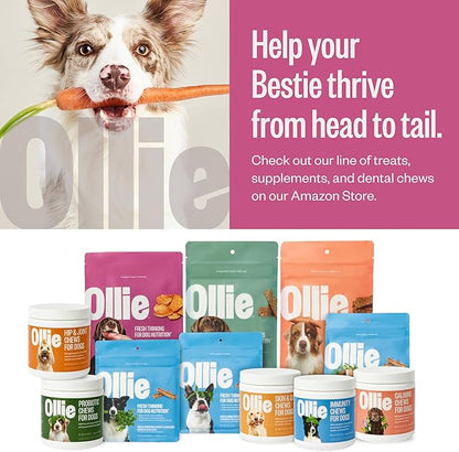 Ollie Sweet Potato Jerky Slices Recipe Dog Treats - Dog Jerky Treats All Natural - Vegan - Healthy Dog Treats - Sweet Potato Jerky for Dogs - Dog Treats 5 Oz.