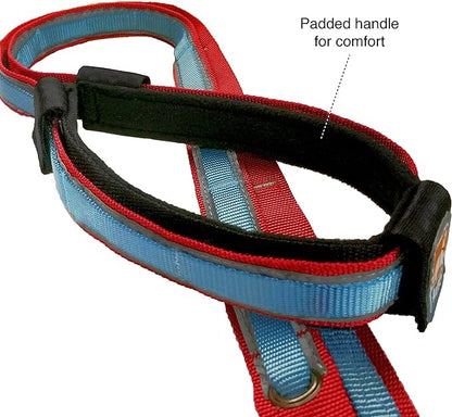 Kurgo Quantum 6-in-1 Dog Leash, Multi-Use Dog Lead for Walking & Running, Adjustable, Hands-Free Option, Coastal Blue