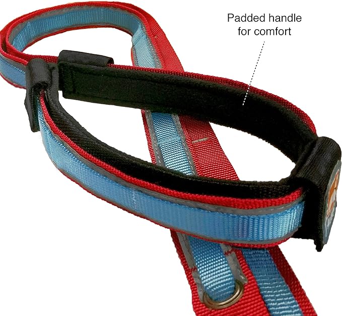 Kurgo 6 in 1 Hands Free Dog Leash, Reflective Running Belt Leash for Dogs, Crossbody & Waist Belt Leash, Carabiner clip, Padded Handle for Training, Hiking or Jogging, Quantum Leash