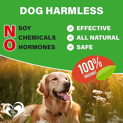 Dog Hip and Joint Supplement & Arthritis Pain Relief Treats - Glucosamine Chondroitin MSM Soft Chews for Senior Dogs - Natural Medicine & Support Mobility - Turmeric Vitamins for Dysplasia - USA
