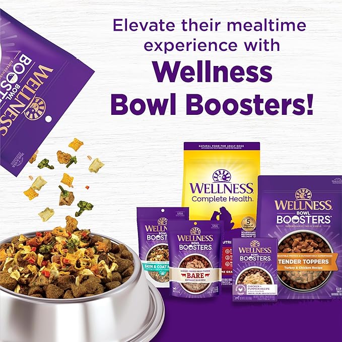 Wellness Complete Health Grain Free Adult Dry Dog Food, Lamb & Lamb Meal Recipe, 22 Pound Bag