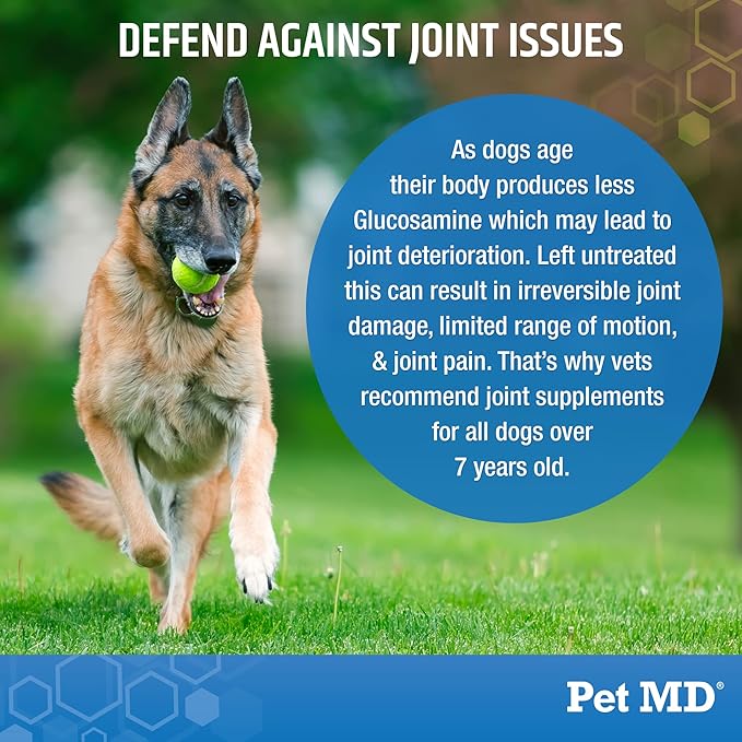 Pet MD Glucosamine for Dogs | Dog Joint Supplement with Glucosamine, Chondroitin & MSM - Inflammatory Pain Relief Chews for Hip & Joints - Bacon Flavored - includes Yucca & Turmeric - 120 Ct