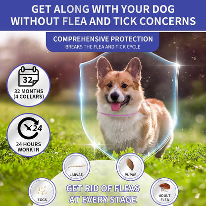 4 Pack Flea Collar for Dogs, 32 Months Flea and Tick Prevention for Dogs, Adjustable Flea and Tick Collar for Dogs Puppies, Waterproof Dog Flea Collar, Natural Dog Flea and Tick Treatment(Blue & Pink)