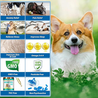 Oil for Dogs 60ML,Organic Pet Oil for Pain,Skin,Arthritis Pain,Pain Relief,Calming,Omega 3,6,9 for Dog Emotions, Dog Barking & Dog Joints,Supports & Maintains Healthy Joints (1 Pack, Blue)
