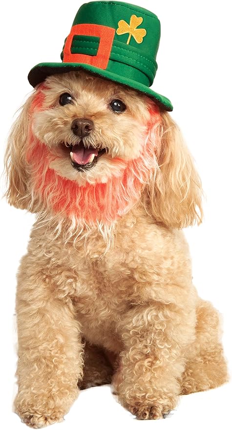 Rubie's St. Patty's Day Pet Costume Hat with Beard, Small/Medium, Multicolor