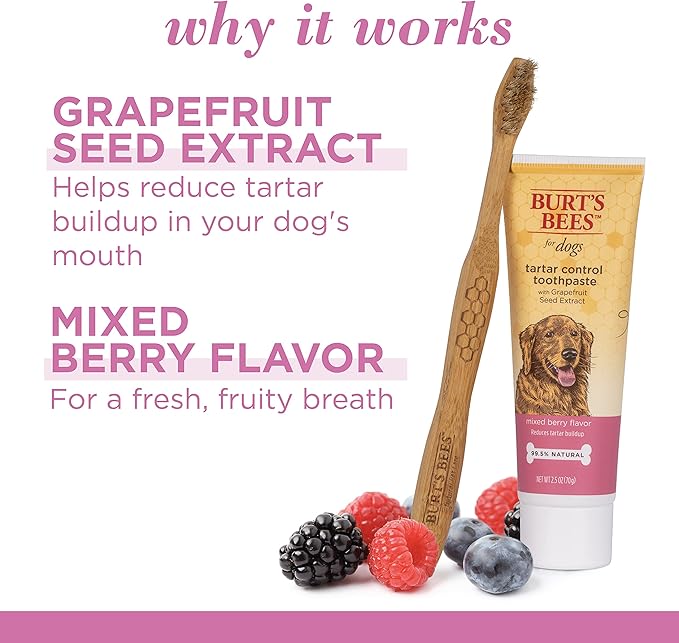 Burt's Bees for Pets Tartar Control Toothpaste for Dogs with Grapefruit Seed Extract - 99.5 % Naturally Derived Dog Toothpaste for Tartar Control in Mixed Berry Flavor, 2.5 Oz