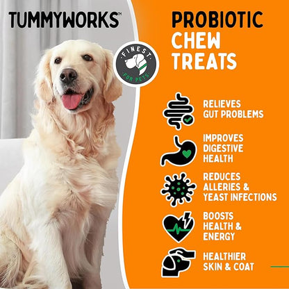 TummyWorks Probiotic 120 Soft Chews for Dogs All Ages - Supports Digestive Health, Relieves Diarrhea, Constipation, Good for Itching, Allergies, Yeast Infections. Added Digestive Enzymes, Made in USA