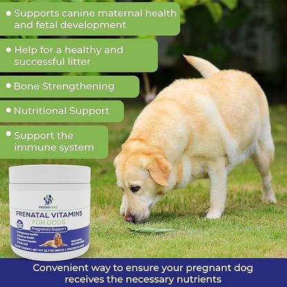 Prenatal Multivitamin Soft Chews for Dogs, 90 Count - Dog Prenatal Vitamins with Folic Acid, Zinc, and Calcium - Supports Milk Production - Delicious Chicken Flavor