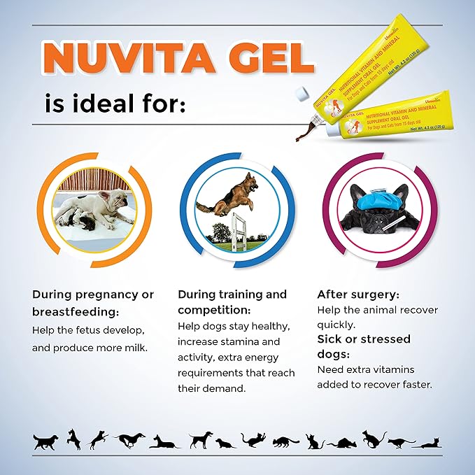 Premium Nutritional and Vitamin Gel for Dogs and Cats - Enhance Health, Boost Appetite, and Energize! Suitable for All Breeds and Life Stages - Multivitamin Gel 4.2 oz (120 g)