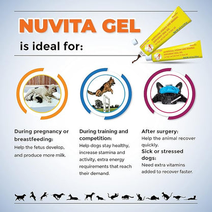 Premium Nutritional and Vitamin Gel for Dogs and Cats - Enhance Health, Boost Appetite, and Energize! Suitable for All Breeds and Life Stages - Multivitamin Gel 4.2 oz (120 g)