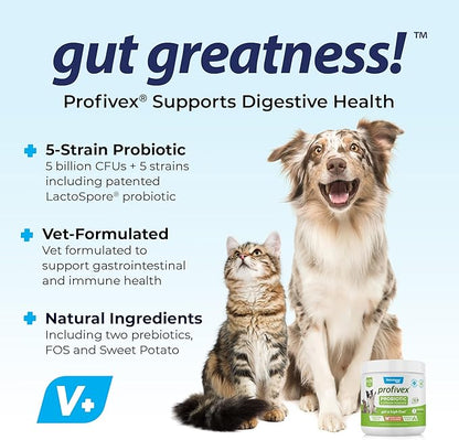 Vetnique Labs Profivex Probiotics for Dogs All Natural Dog Chews & Powder for Digestive Health Probiotic Supplements for Dogs 5 Strains of Probiotics & Prebiotics (Powder, 4.25oz)