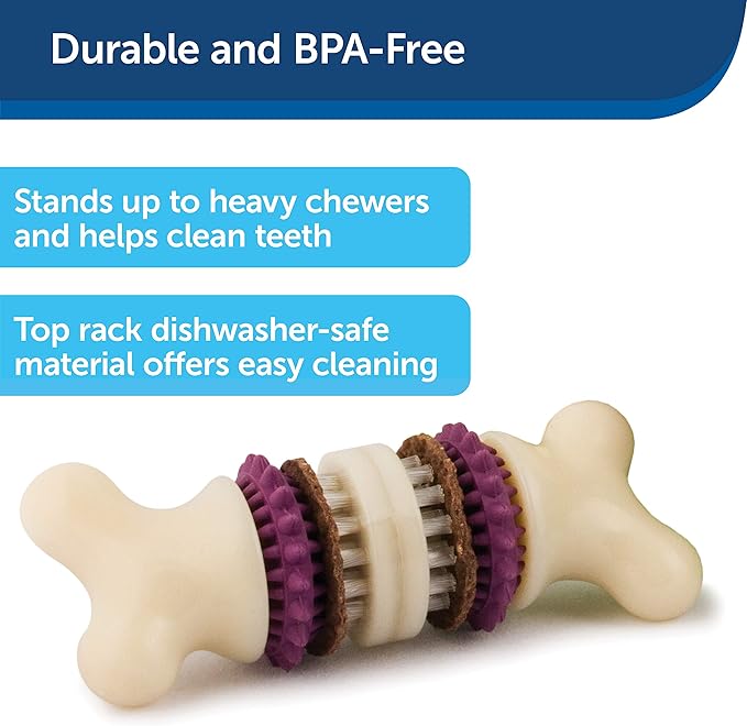 PetSafe Busy Buddy Bristle Bone - Treat-Holding Toy for Dogs - Treat Rings Included - Treats Thoroughly Mixed During Bake to Prevent Choking - Rigorously Tested Ingredients - Purple, Medium