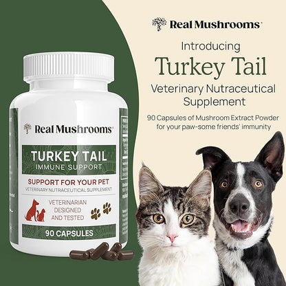 Turkey Tail Pet Support - Dog Multivitamins and Supplements for Immune Support, Gut Health & Wellness - Grain-Free, Gluten-Free, Vet-Approved Dog Supplement (90ct)