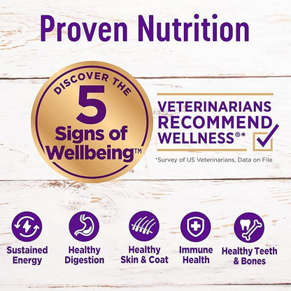 Wellness Complete Health Dry Puppy Food, Chicken, Salmon & Oatmeal, 5-Pound Bag