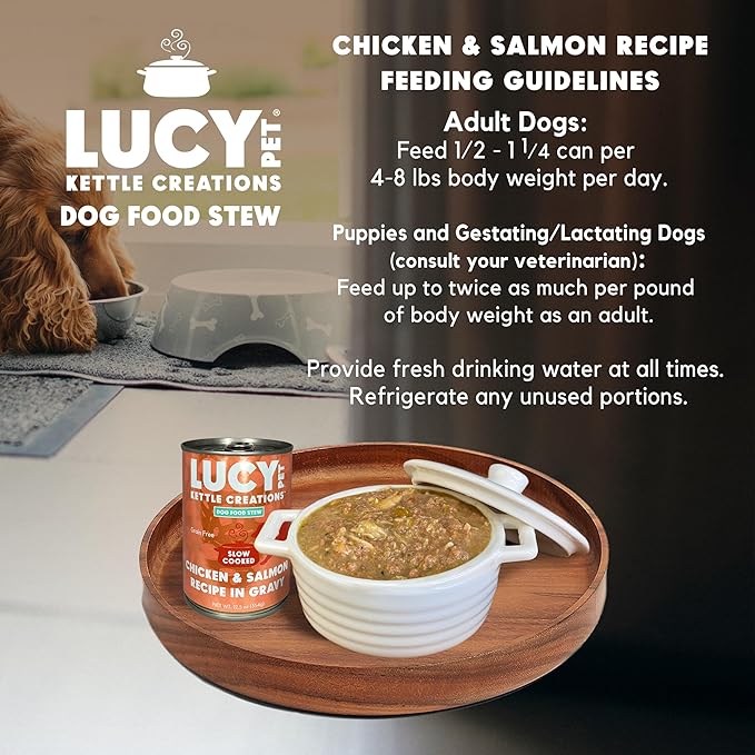 Lucy Pet Chicken & Salmon Recipe in Gravy for Dogs 12.5oz (12 Count)