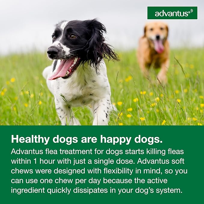 Dog Advantus Chewable Flea Treatment for Dogs 23 - 110 lbs. | 7 ct.