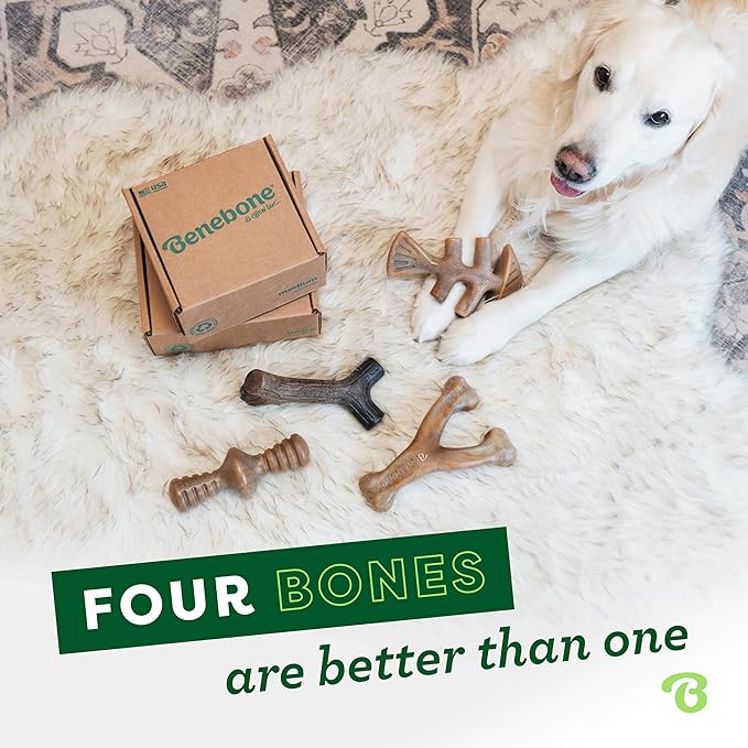 Benebone Small 4-Pack Dog Chew Toys for Aggressive Chewers, Made in USA, 30lbs and Under