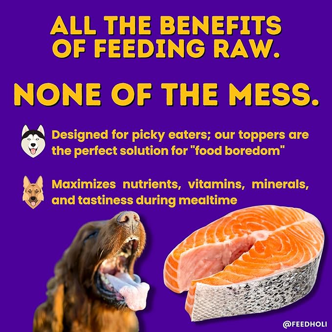 HOLI Freeze Dried Salmon Dog Food Topper - with Omega 3 & 6 - Single Ingredient, Human-Grade Wild Caught Salmon - Dog Food Flavor Enhancer for Picky Dogs – 100% All Natural - 3oz