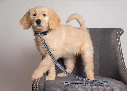 MLB PET Leash, Medium, San Diego Padres Dog Leash, Baseball Team Leash for Dogs & Cats. A Shiny & Colorful Dog & Cat Leash with Emboridered Team Name/Logo Licensed by the MLB