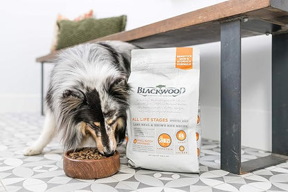 Blackwood Special Diet All Life Stages Dry Dog Food, 15Lb., Salmon Meal & Brown Rice Recipe, Sensitive Skin and Stomach, Grain Free Dog Food