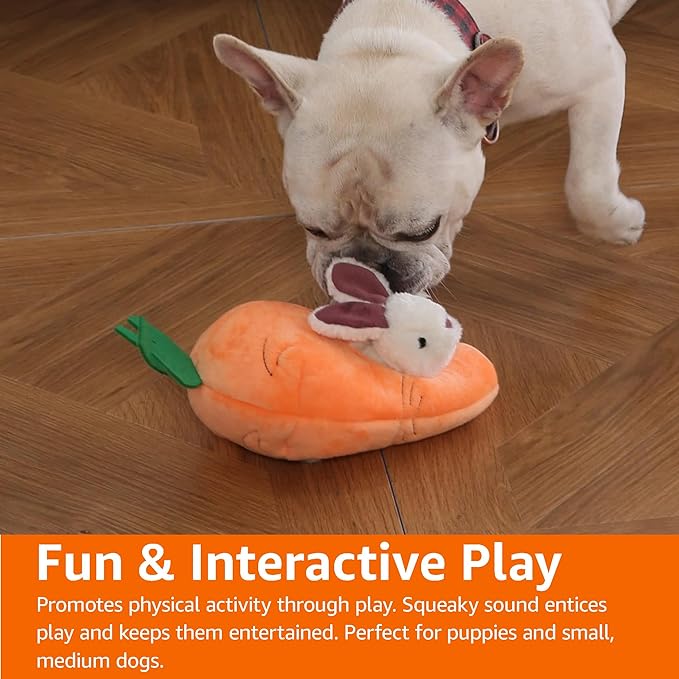 Amazon Basics Hide and Seek Squeaky Dog Plush Toy, Rabbit and Carrot, Orange and white, 5 Pack
