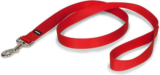 PetSafe Nylon Dog Leash – Strong, Durable, Traditional Style Leash with Easy to Use Bolt Snap – 1" x 4', Red