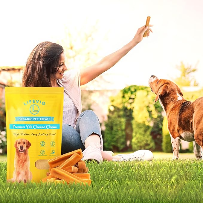 Premium Himalayan Yak Cheese Dog Chews - Long Lasting Sticks | 100% Natural Chews Made with Himalayan Yak Milk, Pink Salt, and Lime Juice | (1 Stick - Extra Large)
