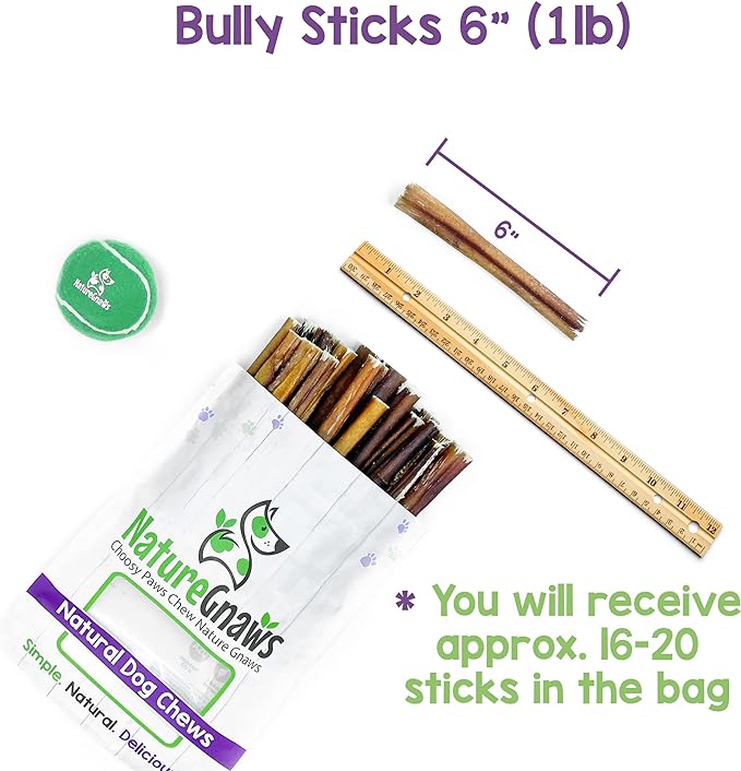 Nature Gnaws Bully Sticks for Dogs - Premium Natural Beef Dental Bones - Long Lasting Dog Chew Treats for Aggressive Chewers - Rawhide Free - 5-6 Inch