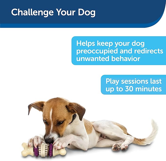 PetSafe Busy Buddy Bristle Bone - Treat-Holding Toy for Dogs - Treat Rings Included - Treats Thoroughly Mixed During Bake to Prevent Choking - Rigorously Tested Ingredients - Purple, Small