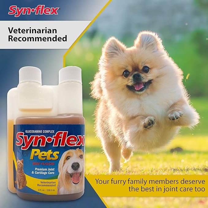 America Synflex for Pets - Liquid Glucosamine Joint Complex for Dogs, Cats - Senior Canine & Feline Chondroitin Juice Care Supplement - Helps Support Joint and Cartilage Health - Beef Flavor