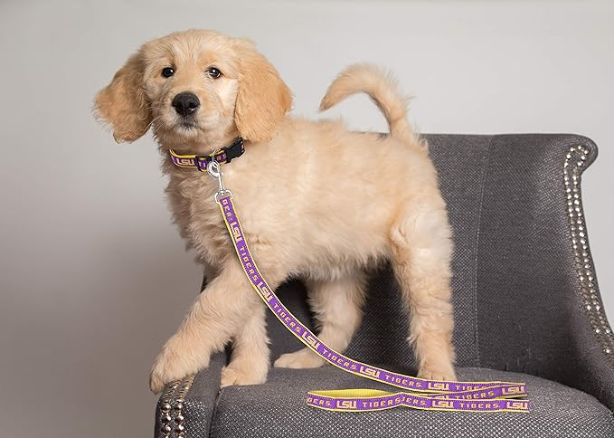 Pets First Collegiate Pet Accessories, Dog Leash, LSU Tigers, Small