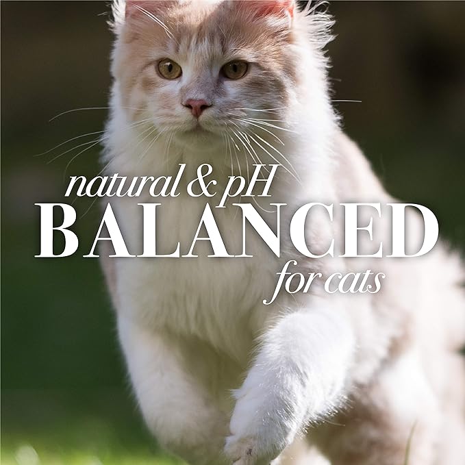Burt's Bees for Pets Cat Naturally Derived Dander Reducing Wipes - Kitten and Cat Wipes for Grooming - Cruelty Free, Formulated without Sulfates and Parabens, Made in the USA, 50 Count - 3 Pack
