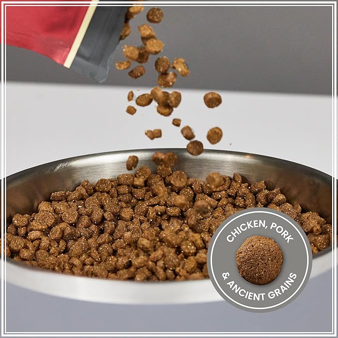Muenster Ancient Grains Dog Food (4lb) - Chicken & Pork Flavored Dry Dog Food for Large Dogs - Gluten Free, Non-GMO High Protein Dog Food - Healthy Digestive Large Breed Dog Kibble