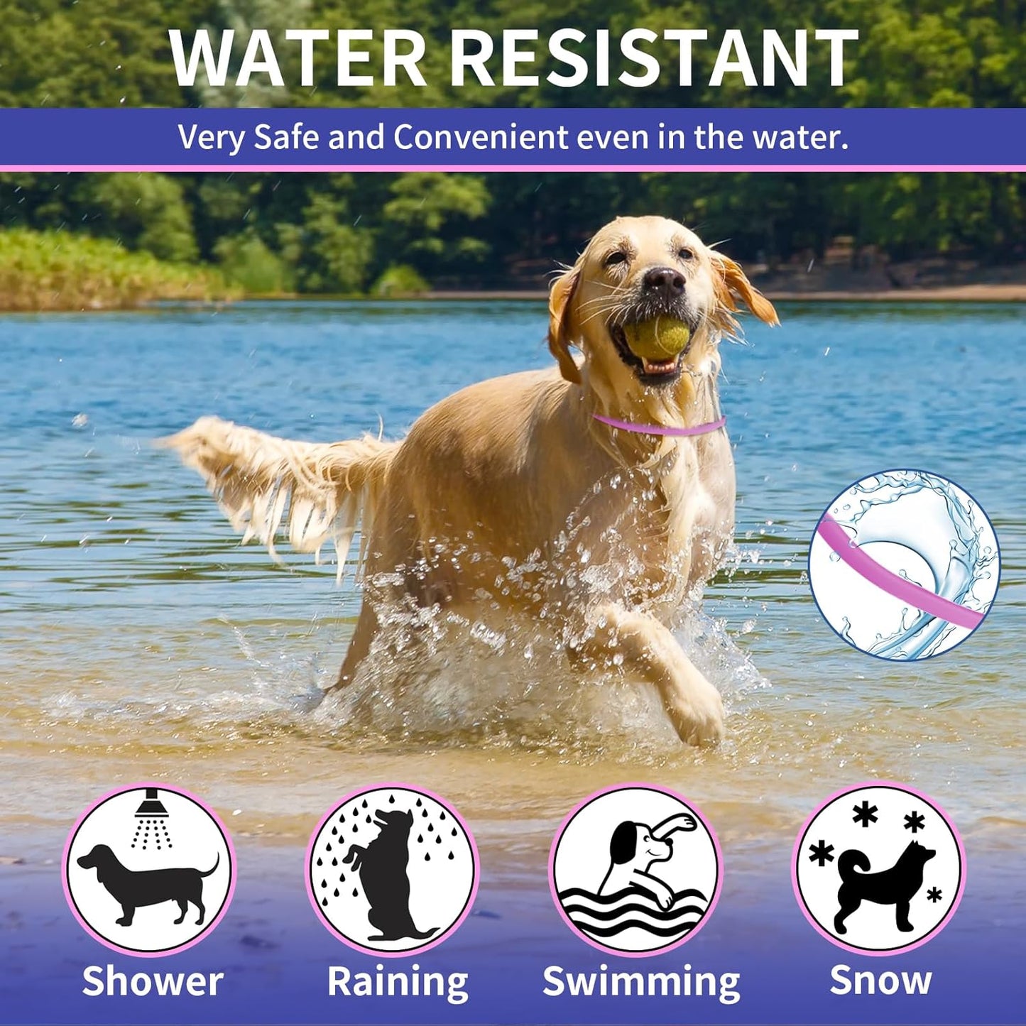 4 Pack Flea Collar for Dogs, 32 Months Flea and Tick Prevention for Dogs, Adjustable Flea and Tick Collar for Dogs Puppies, Waterproof Dog Flea Collar, Natural Dog Flea and Tick Treatment(Blue & Pink)