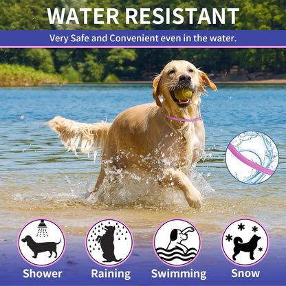 4 Pack Flea Collar for Dogs, 32 Months Flea and Tick Prevention for Dogs, Adjustable Flea and Tick Collar for Dogs Puppies, Waterproof Dog Flea Collar, Natural Dog Flea and Tick Treatment(Blue & Pink)