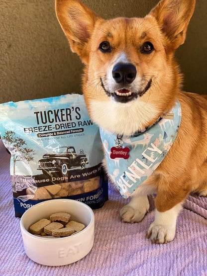 Tucker's Raw Frozen Freeze Dried Raw Dog Food, Pork, Bison & Pumpkin Formula 14oz