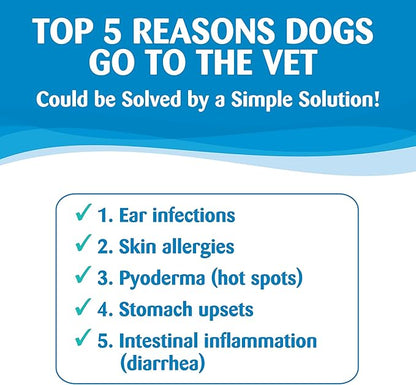 Wellness Natural Pet Food Simple Natural Limited-Ingredient Grain-Free Dry Dog Food, Easy to Digest for Sensitive Stomachs, Supports Skin & Coat (Healthy Weight, Salmon and Peas, 24-Pound Bag)