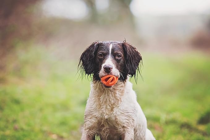 Chuckit Air Fetch Ball Dog Toy, Medium (2.5 Inch Diameter), for dogs 20-60 lbs