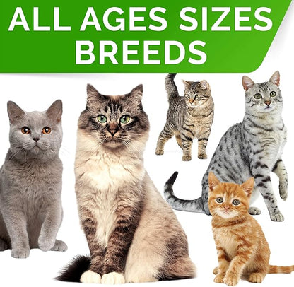 Probiotics Powder for Cats and Dogs - All Natural Supplement - Digestive Enzymes + Prebiotics - Relieves Diarrhea, Upset Stomach, Gas, Constipation, Litter Box Smell, Skin Allergy -4oz (Pack of 2)