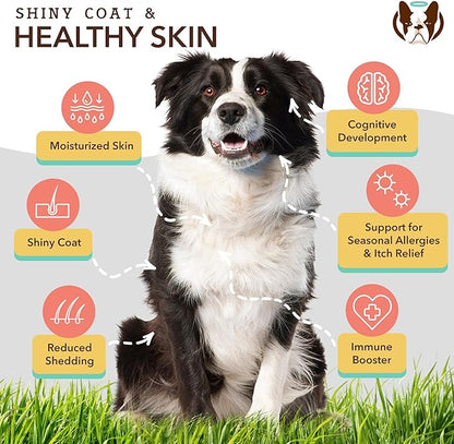 Healthy Joints, Skin and Coat Bundle for Dogs, includes (1) 16 oz bottle Natural Dog Company Skin and Coat Oil, (1) 16 oz bottle Liquid Glucosamine, Food Topper, Dog's Fish Oil Supplement