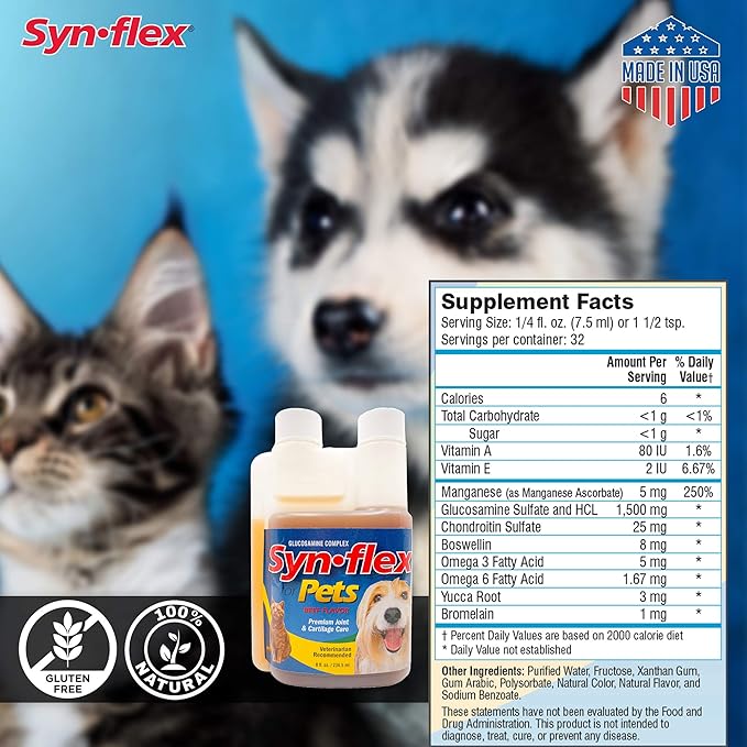 America Synflex for Pets - Liquid Glucosamine Joint Complex for Dogs, Cats - Senior Canine & Feline Chondroitin Juice Care Supplement - Helps Support Joint and Cartilage Health - Beef Flavor