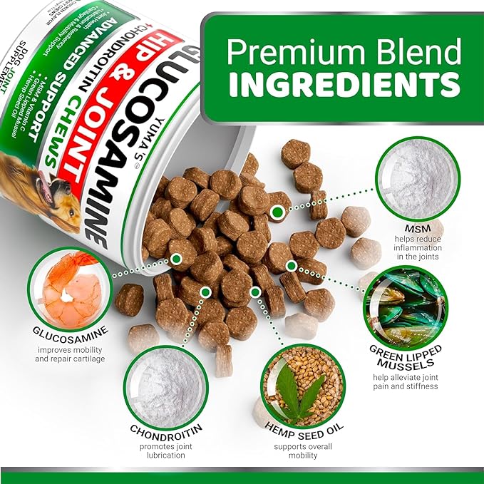 2-Pack Glucosamine for Dogs - Hip and Joint Supplement for Dogs - Glucosamine Chondroitin for Dogs Chews - Dog Joint Pain Relief with MSM - Advanced Dog Joint Supplement Health - Mobility Support