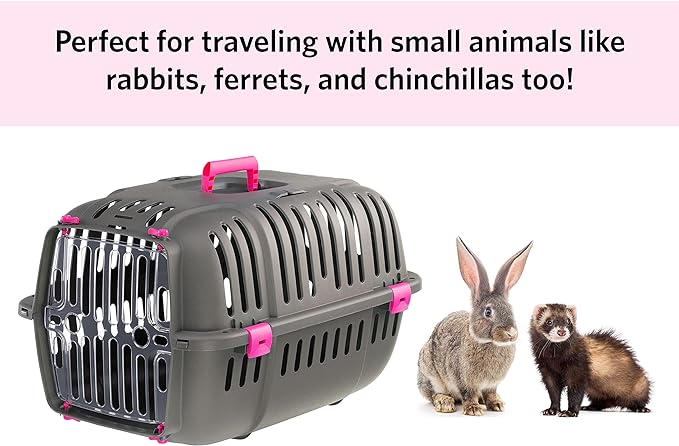 Ferplast Jet Pet Carrier: Value Dog Carrier Suitable for XS Dog Breeds & Small Cats, Assembled Dimensions: 22L x 14.5W x 13H inches, Fuchsia, (73043020PBUS)