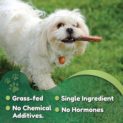 Premium European Beef Bully Sticks 6" - 100% Extra Lean Bully Bones Rawhide-Free & Odor-Free Dog Treats for Small, Medium and Large Dogs | Long Lasting Dental Dog Chews - Pack of 30