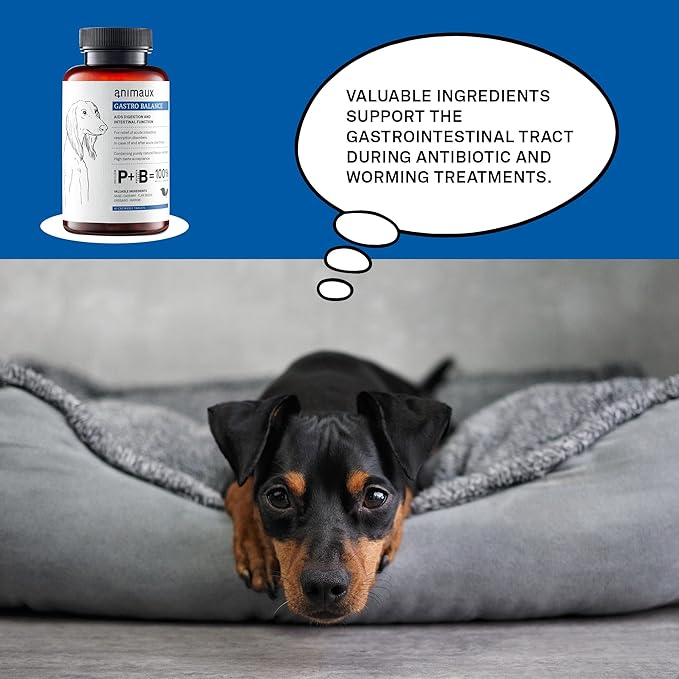 animaux – Gastro Balance for Dogs, Digestive Health Support and Probiotics, Brewer’s Yeast, Fennel, Helps to Relieve Diarrhea, Excess Winds, Irritable Bowel, 40 Chewable Tablets, 40 days supply