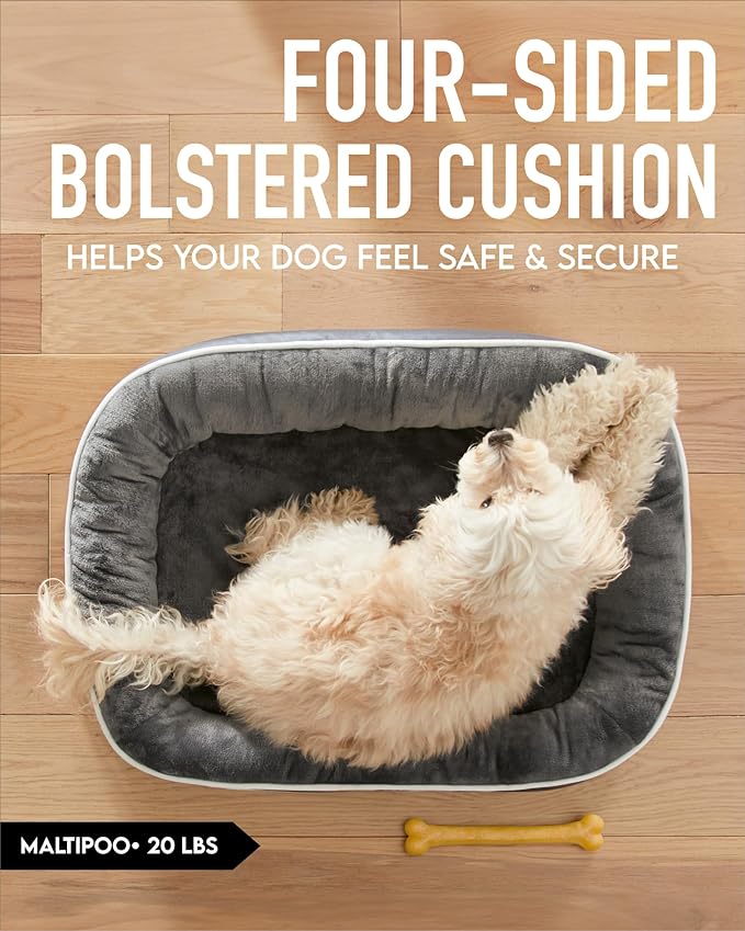 Orthopedic Dog Bed for Medium Dogs, Dog Couch Design with Egg Foam Support, Removable, Machine Washable Plush Cover and Non-Slip Bottom with Four Sided Bolster Cushion (Gray)