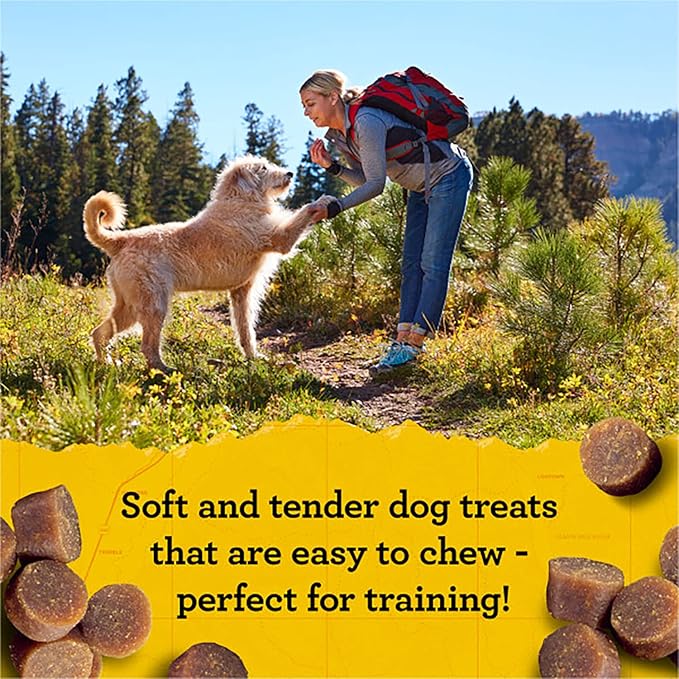 Zuke's Mini Naturals Dog Training Treats, Beef Recipe, Soft Mini Dog Treats with Vitamins & Minerals, Made for All Breed Sizes (Beef, 6 Ounce (Pack of 2))