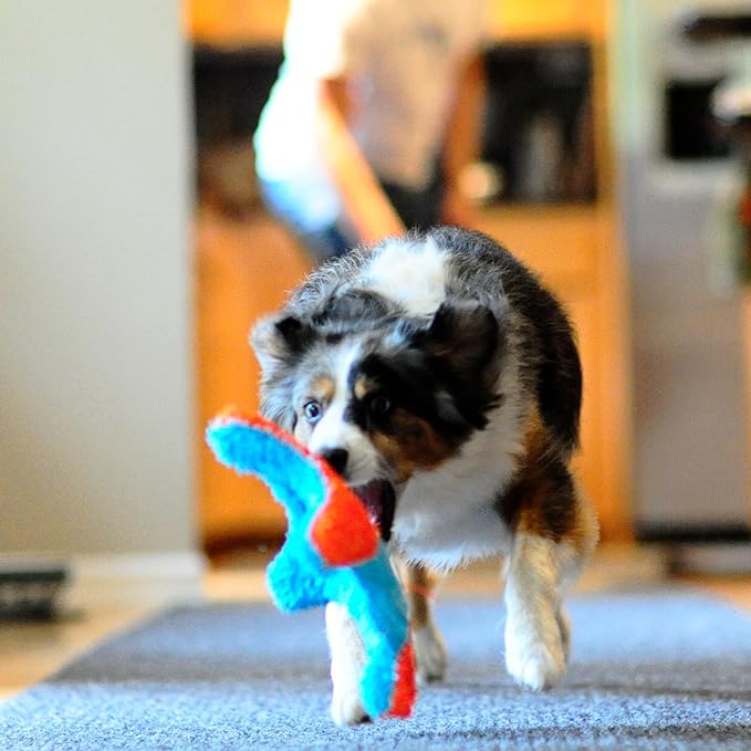ChuckIt! Indoor Fetch Squirrel Dog Toy (9 Inch), Orange and Blue