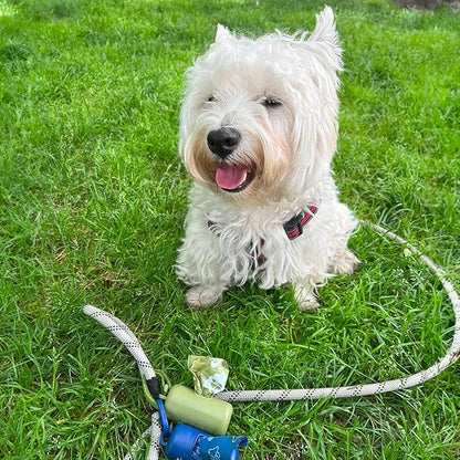 Best Pet Supplies Dog Poop Bags (150 Bags) for Waste Refuse Cleanup, Doggy Roll Replacements for Outdoor Puppy Walking and Travel, Leak Proof and Tear Resistant, Thick Plastic - Green with Poop Emoji