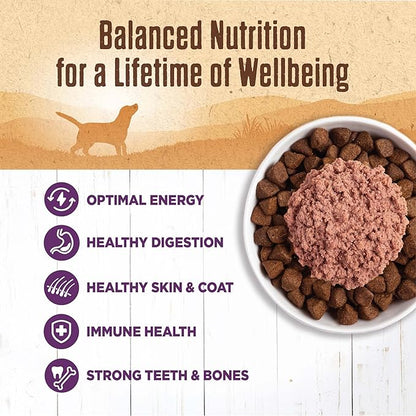 Wellness Natural Pet Food 95% Chicken Natural Wet Grain Free Canned Dog Food, 13.2-Ounce Can (Pack of 12)